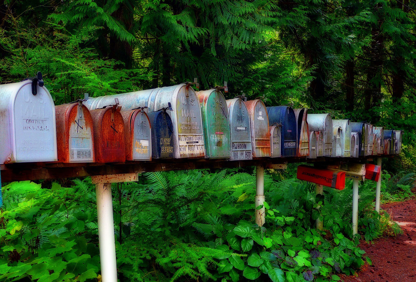 Letter to America, by Bob Ferguson