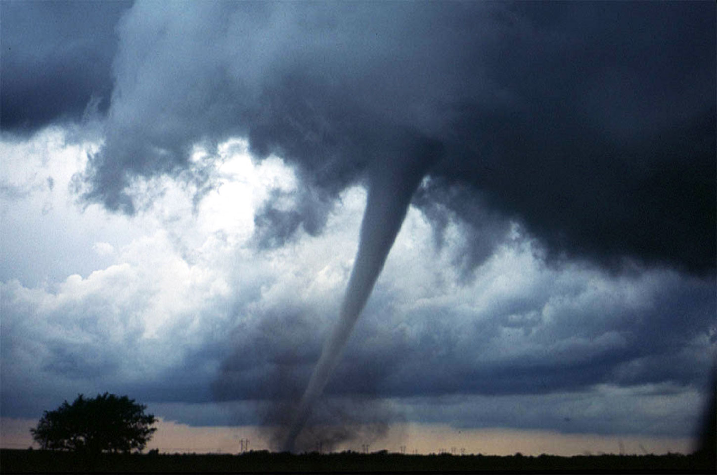 Letter to America, by Joni Tevis