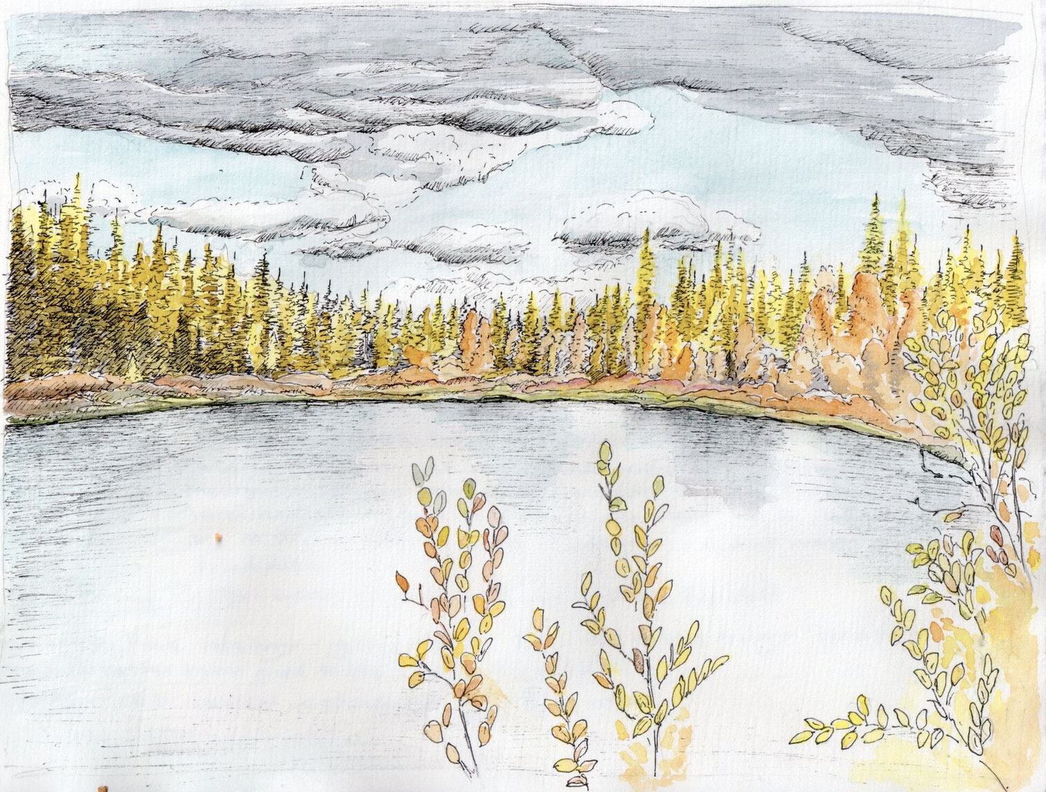 The Collecting Basket, by Lyn Baldwin