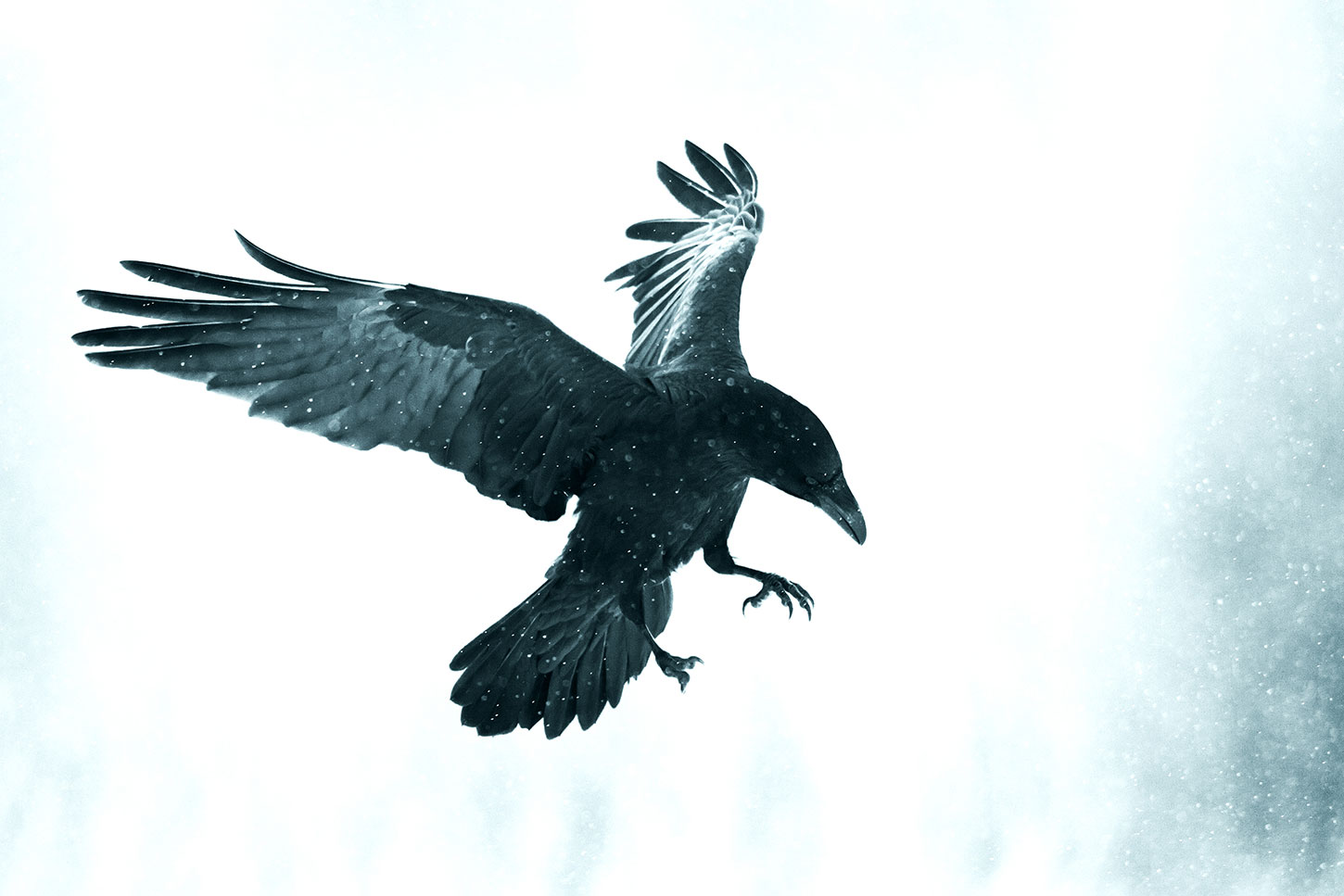 One Poem by Joseph Powell