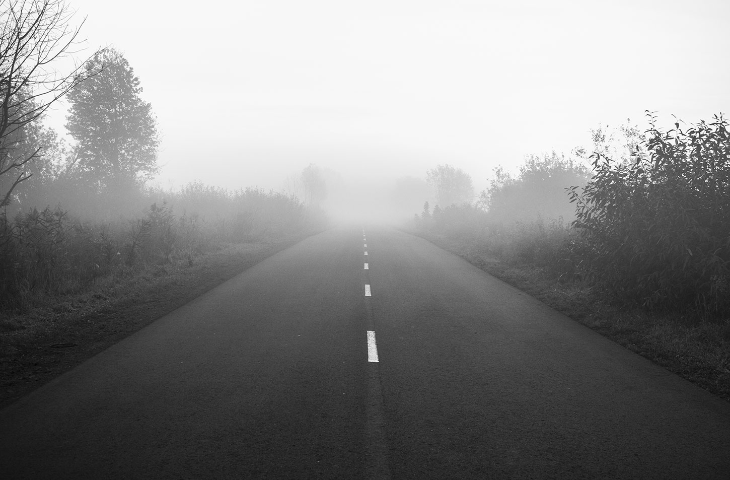 Rural road with fog