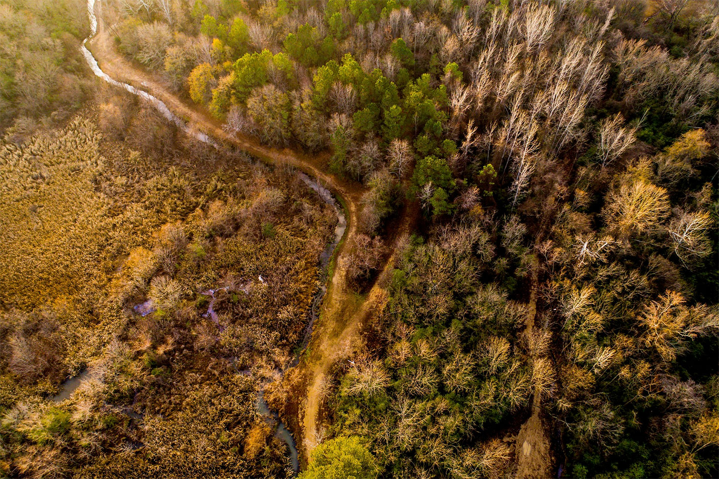 Aerial view of creek, woods, and wetlands