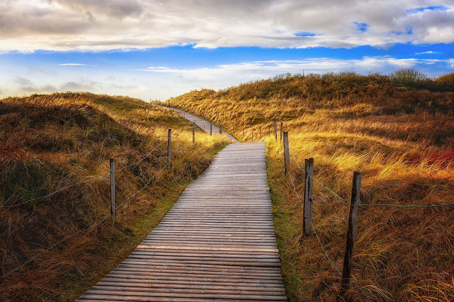 Walkway over the dunes at a beach