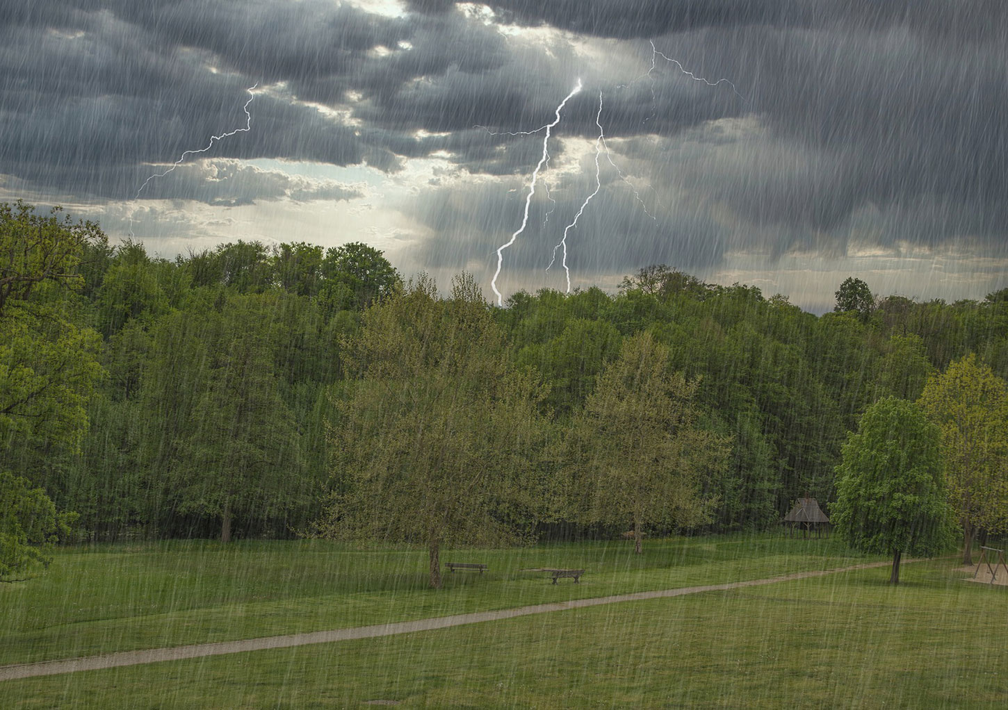 Rain, lightning, and trees.