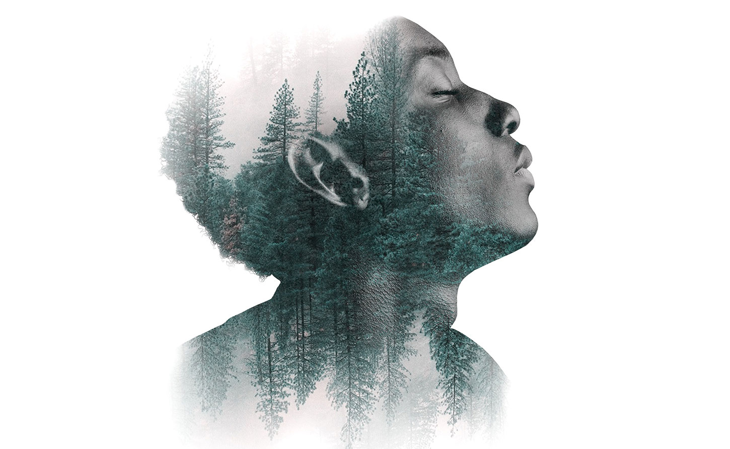 Ecological thought