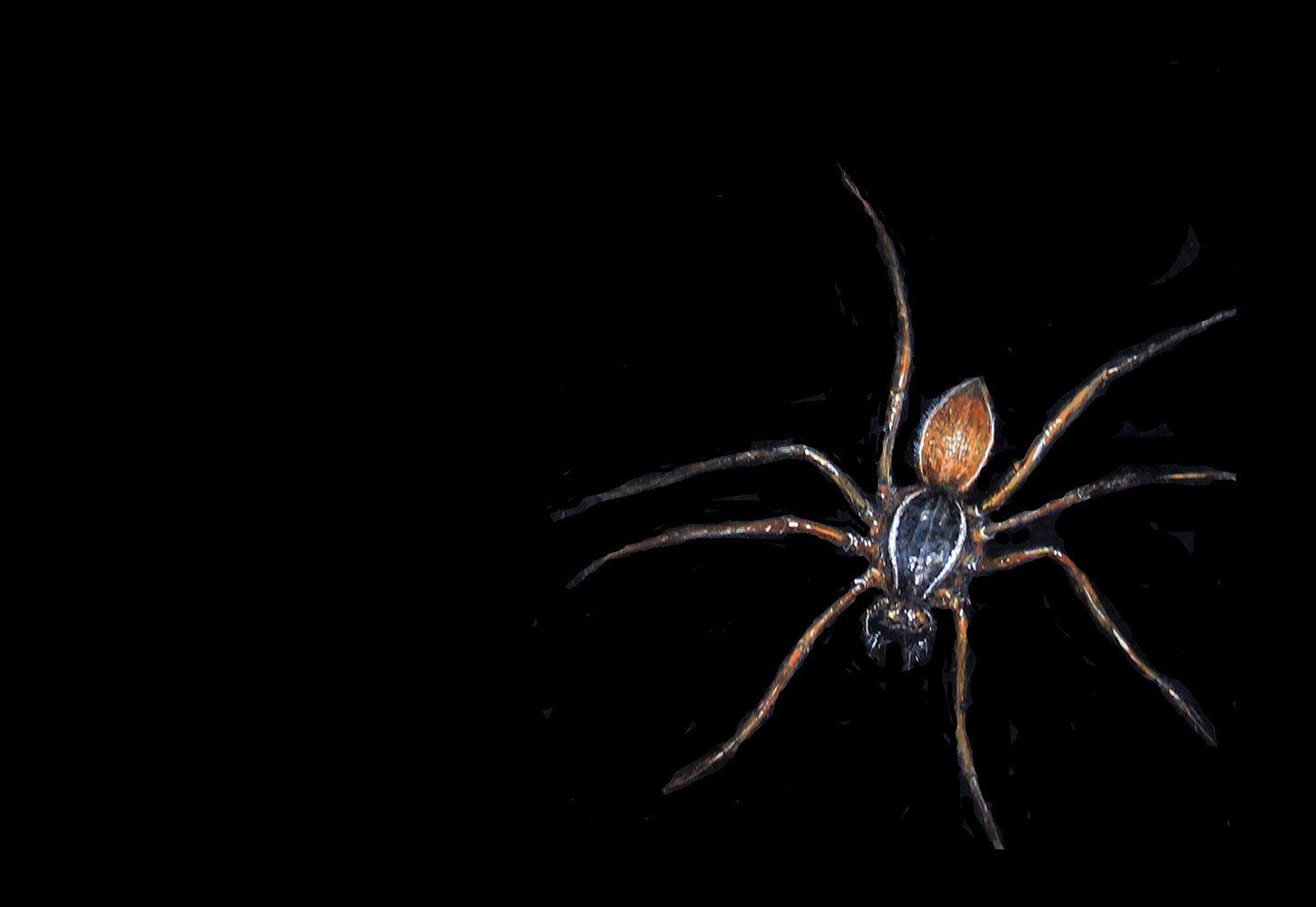 Spider, by Suzanne Stryk