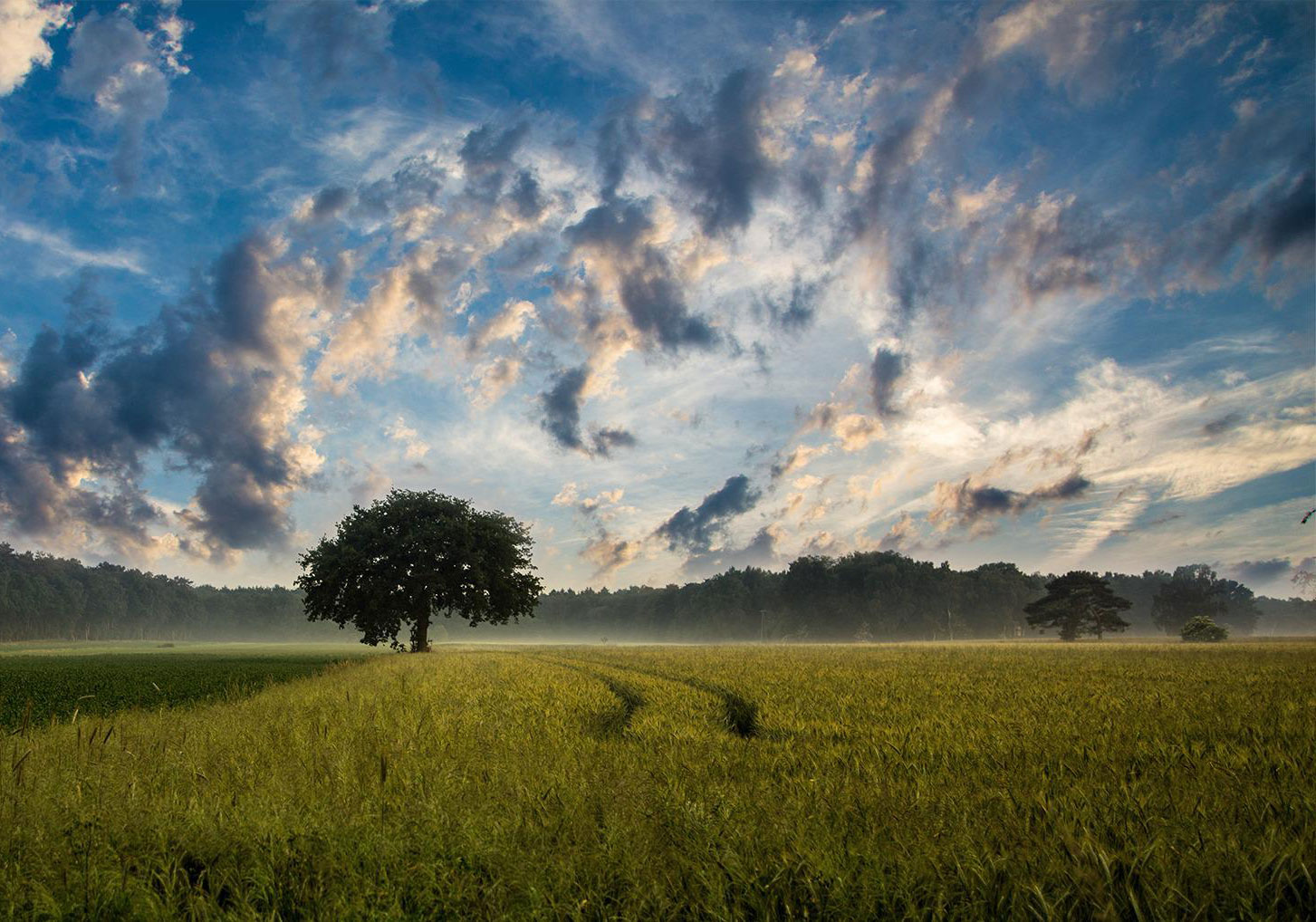 Clouds and farm