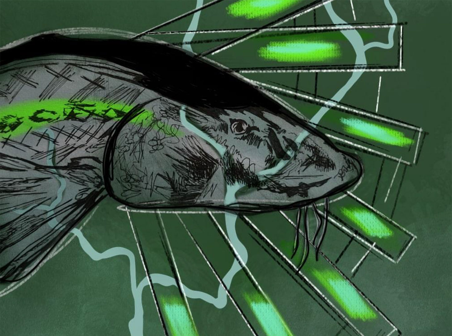 Fish and river system on green background