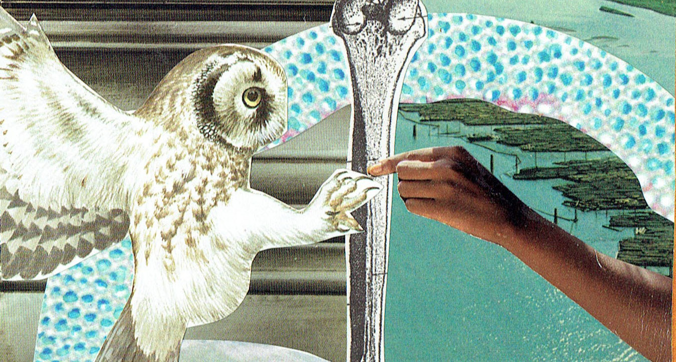 Postcard collage: owl an dhuman touching over bone