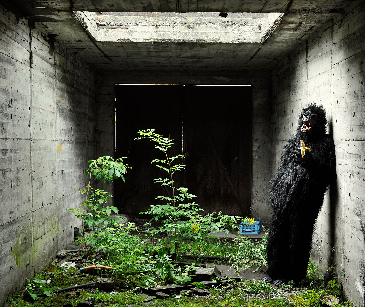 Man in gorilla suit