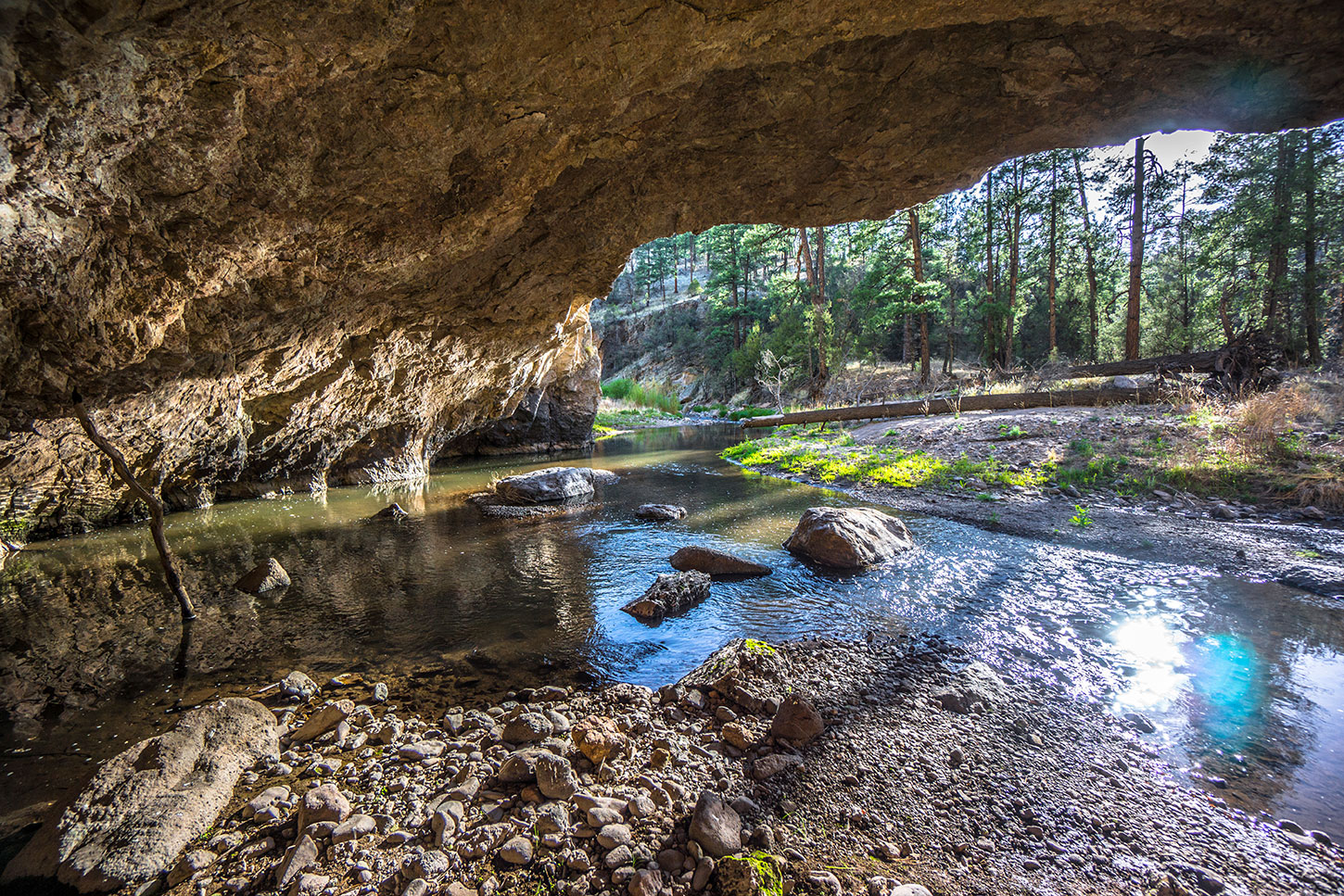 Cave and stream in Gila Wilderness