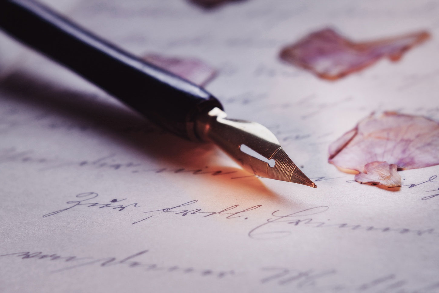 Old-fashioned pen on paper with flower petals