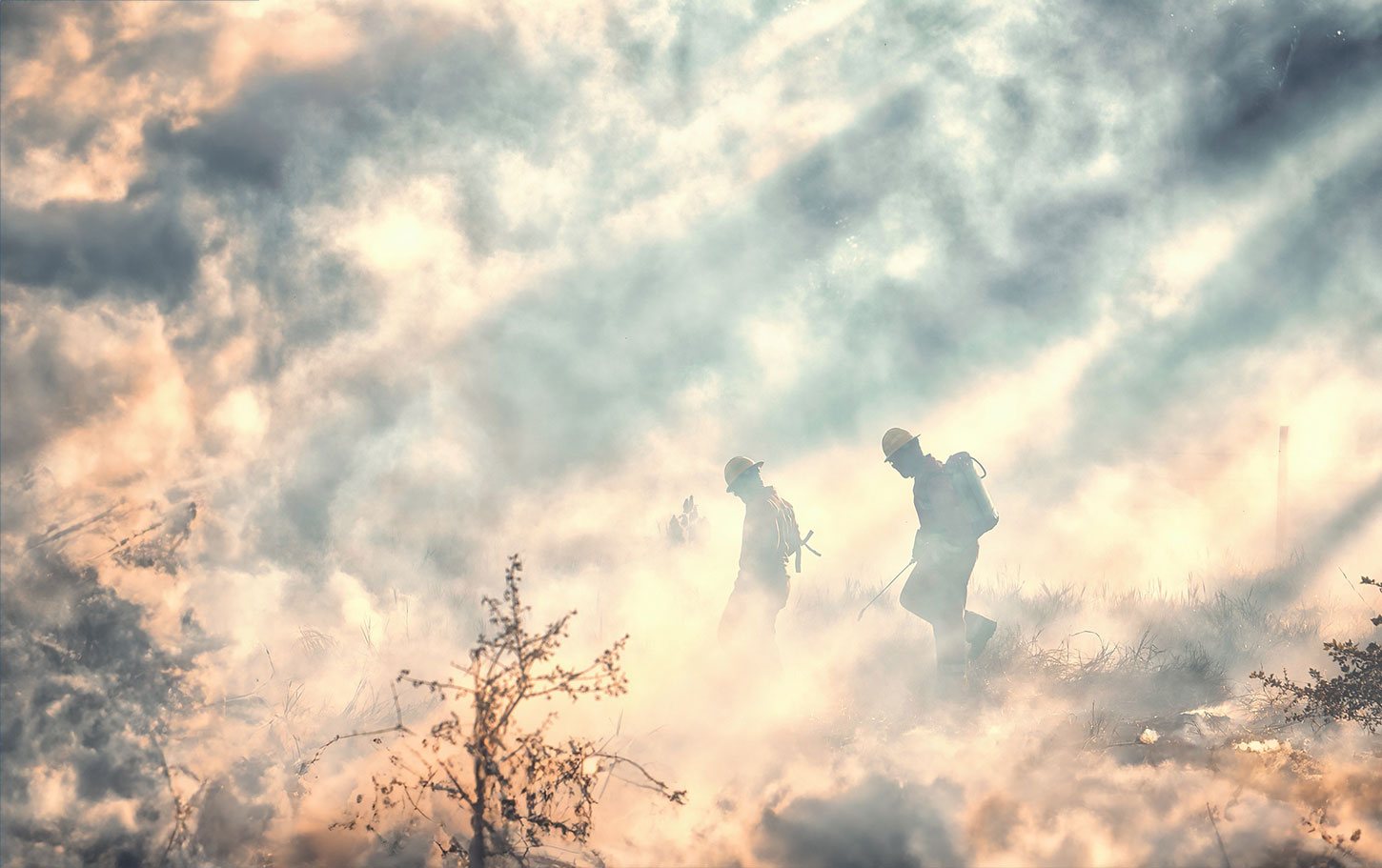 Firefighters in wildfire