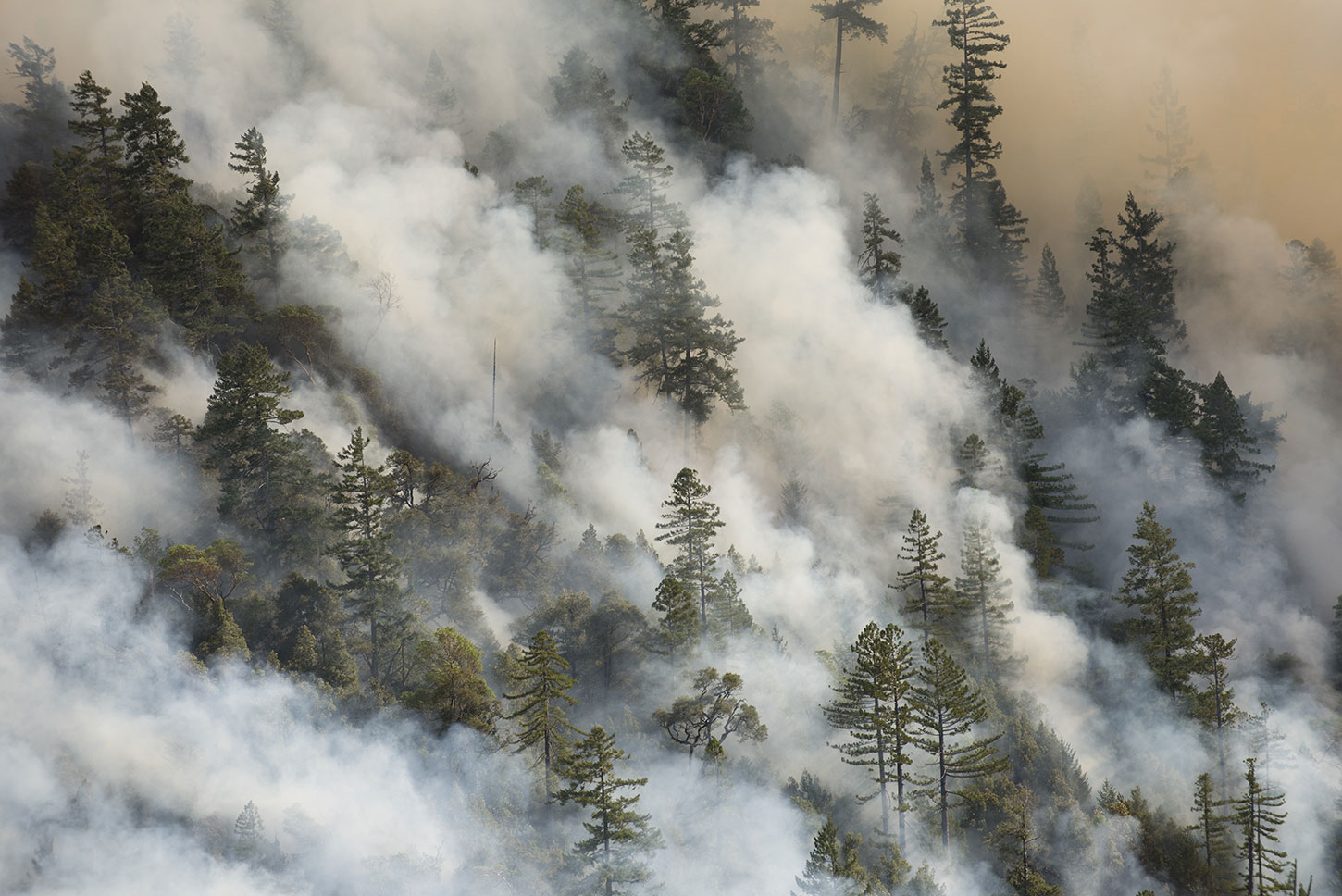 Wildfire smoke among a forested mountainside