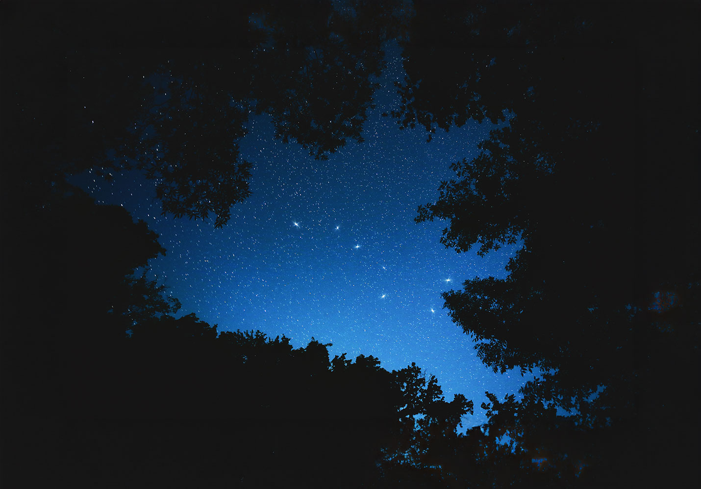 Big Dipper and trees