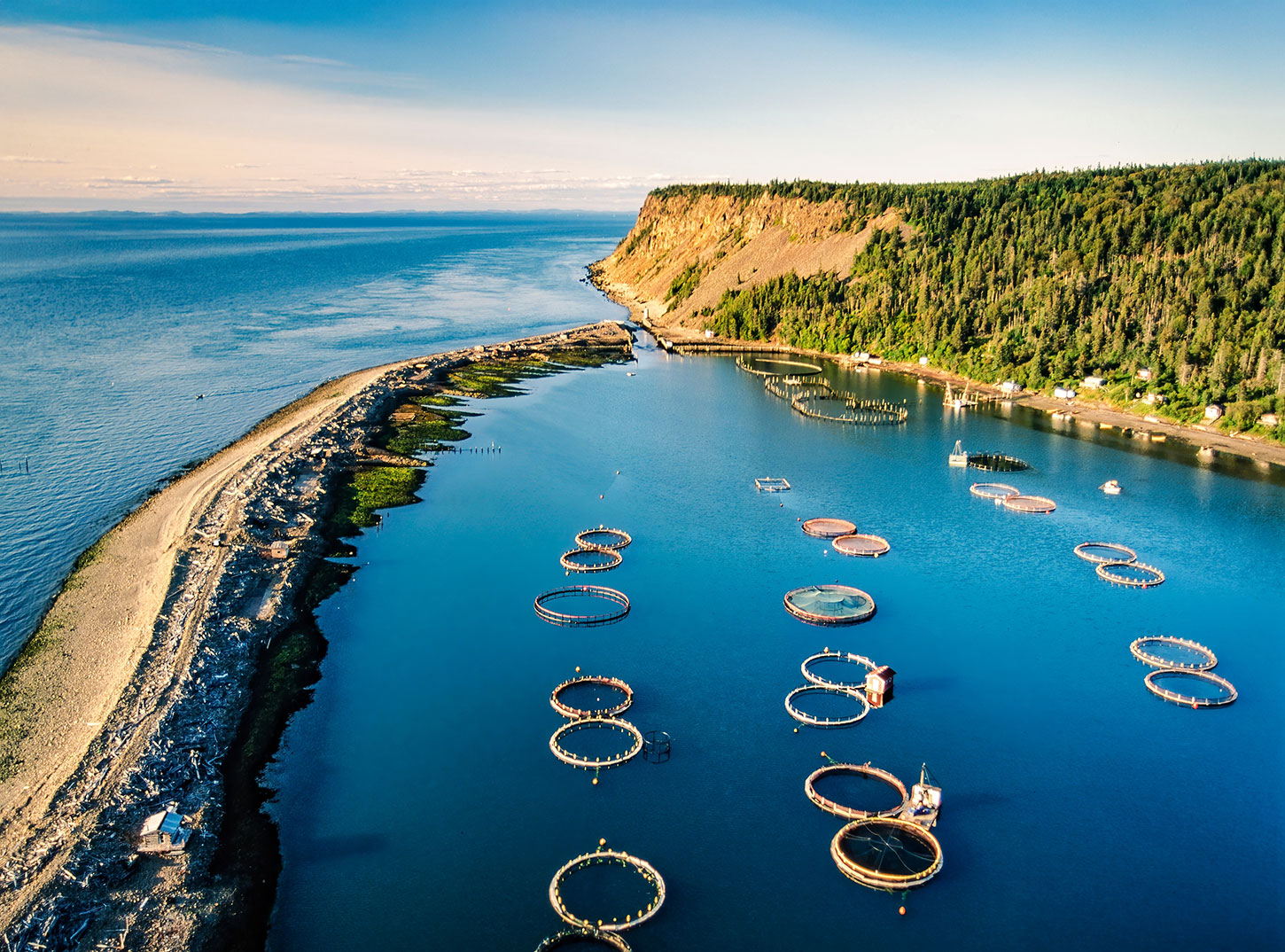 Aerial view of salmon farms, Grand Manan, Canada.