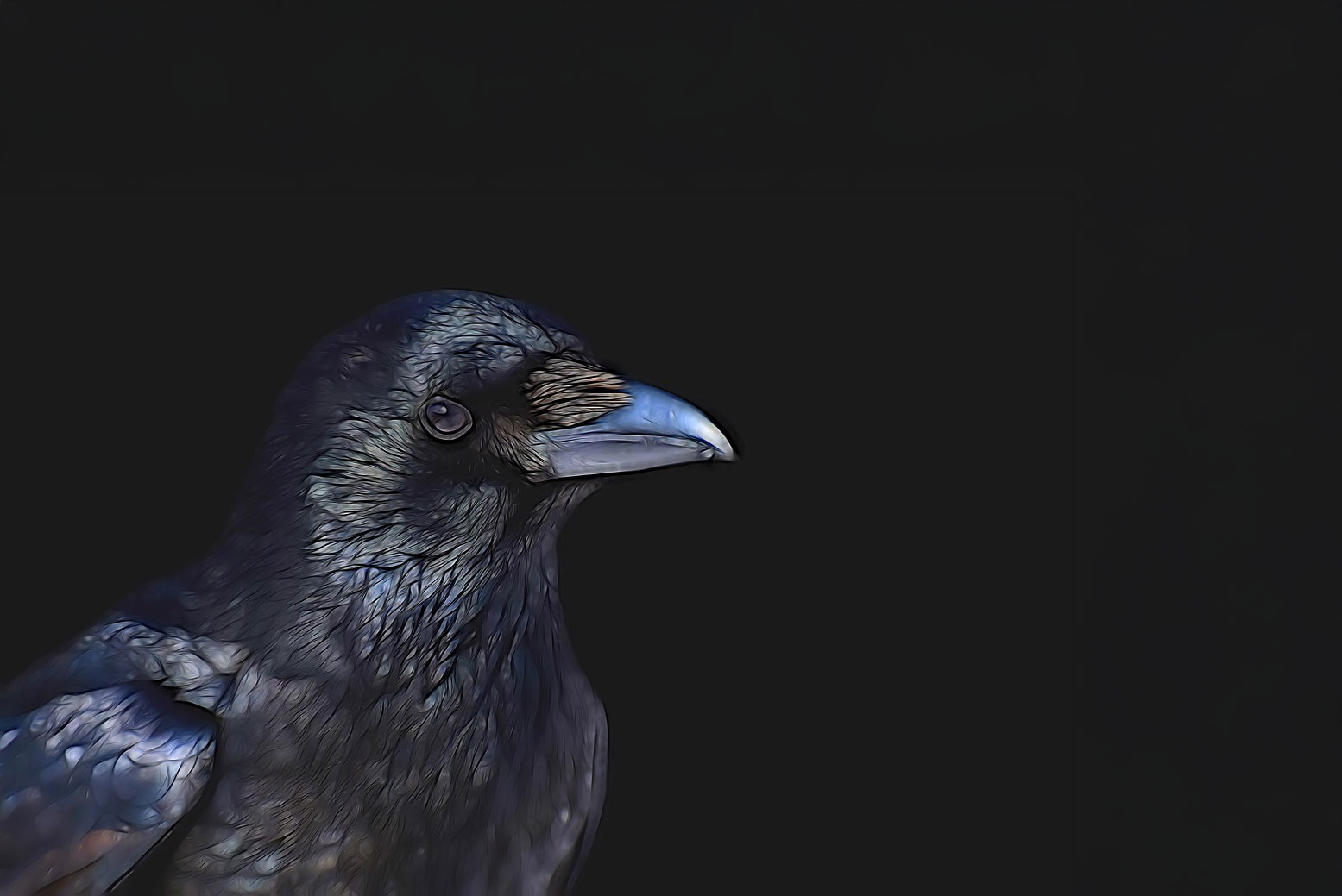 Crow
