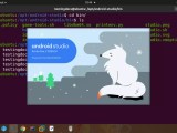 Android Development Environment Setup Testingdocs