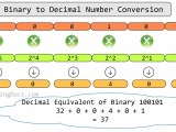 Binary To Decimal Converter Calculator Tmhr
