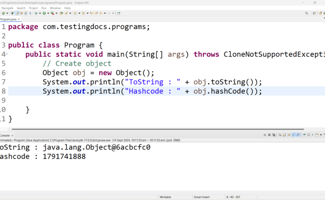 Java Object Class - TestingDocs
