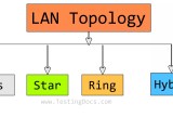 Lan Network Topologies Testingdocs