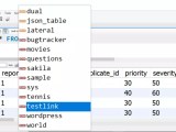 Testlink Database Schema Testingdocs