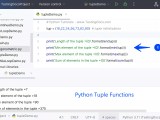Python Tuple Functions Testingdocs