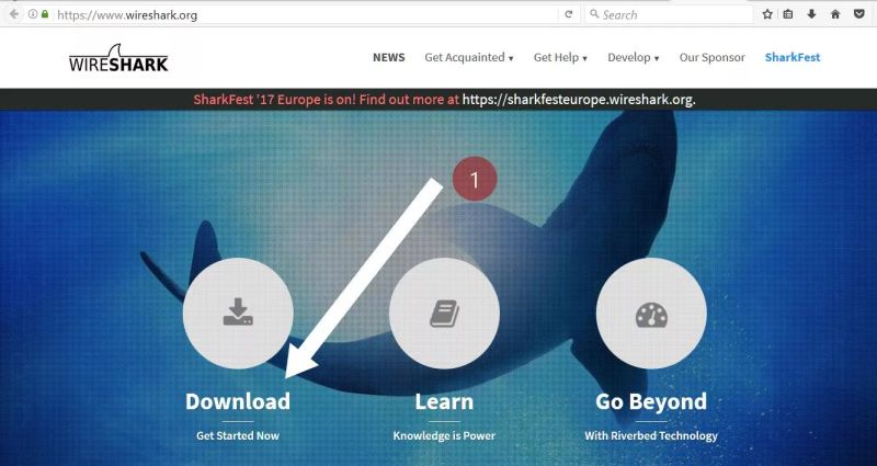 Wireshark Network Protocol Analyzer Crowley Media Group - Best Dark Textures in HD