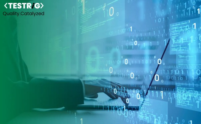 Python Automation Testing Using Selenium Tool- Testrig Technologies