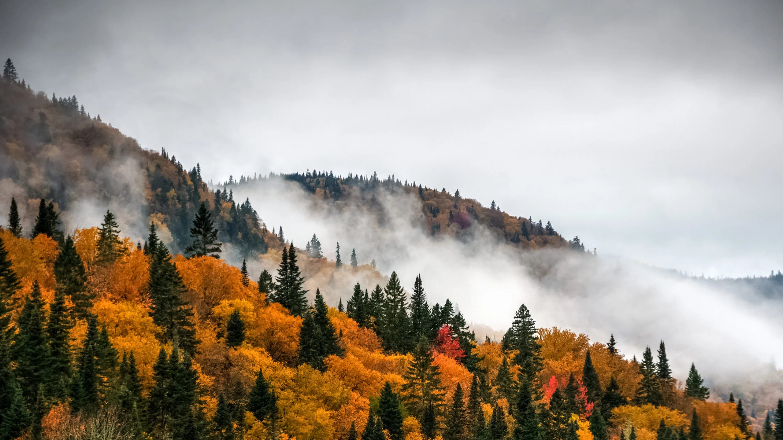 TGR S Guide To Leaf Peeping In 2025 When And Where To Find The Biggest Fall Leaves Quebec Scaled 