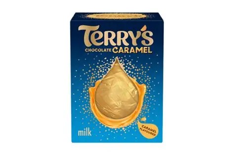 Terrys Chocolate Caramel Ball 145g