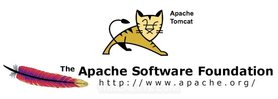 Web Apache Tomcat Jsp Csdn - 4K Landscape Images for Desktop