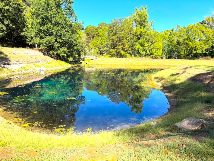 Plant-filled pond. Mark Twain National Forest is conducting assessments and needed repairs on control structures with the water lowered. They will also remove invasive aquatic plants to improve fish habitat.