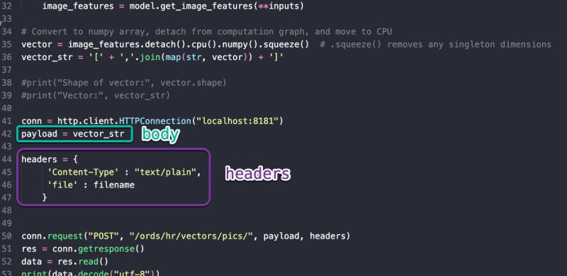 What Is A Vector Graphic File Format In Python Code Infoupdate Org - Professional Vintage Picture - 4K