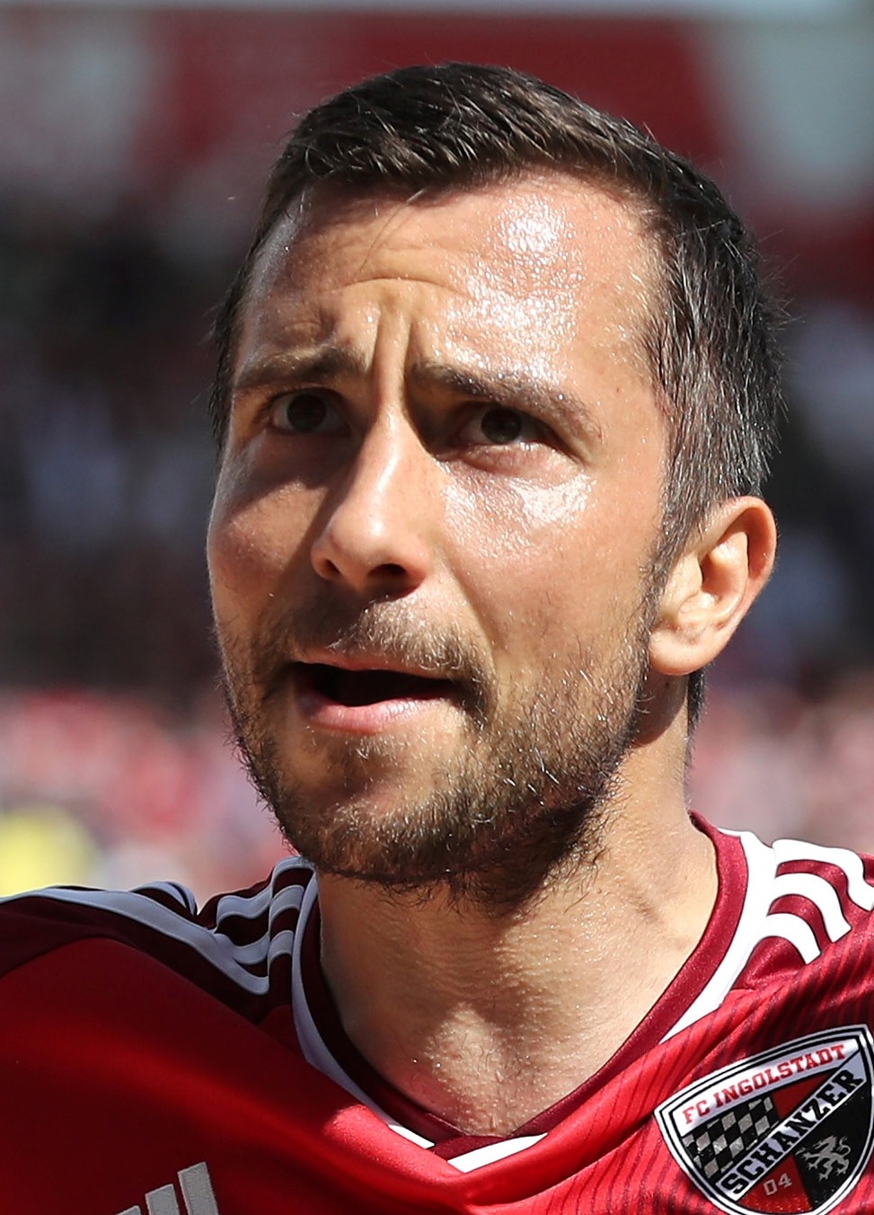 Markus Suttner Alchetron The Free Social Encyclopedia Brighton boss Chris Hughton told the clubs official website.