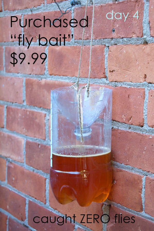 The best homemade fly trap for outdoor