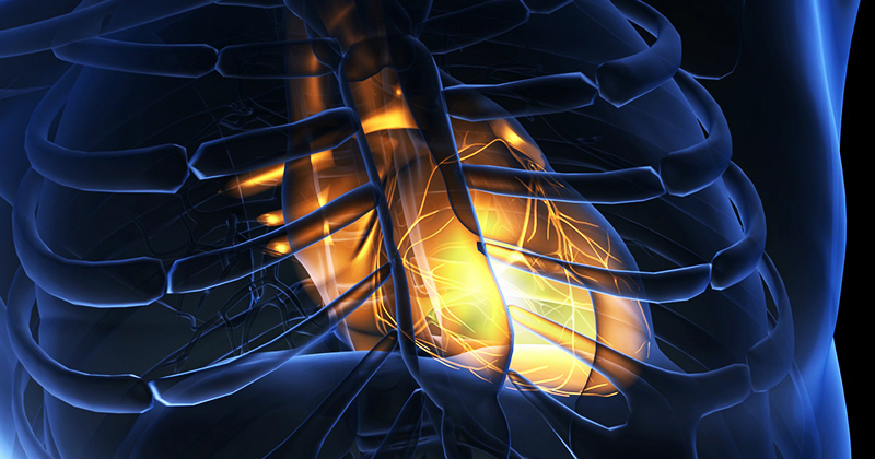 The CDC is Grossly Underreporting Heart Inflammation Following COVID Vaccination