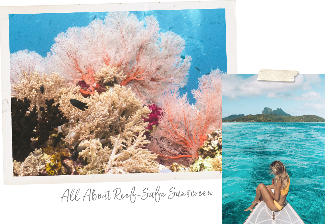 Visit the galapagos islands to be transported into another world, a rocky landscape stripped of most vegetation but bursting with wildlife, including sea lions, penguins, marine iguanas and giant tortoises. The Ultimate Guide To The Big Island Of Hawaii The Blonde Abroad