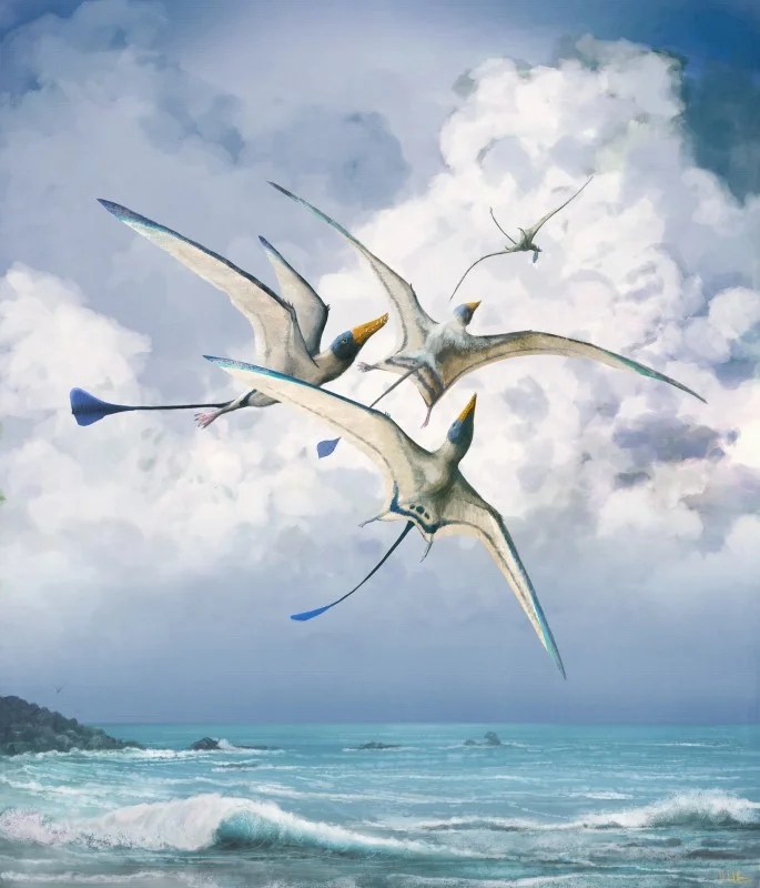 Pterosaurs had far more diverse wing shapes than scientists previously knew