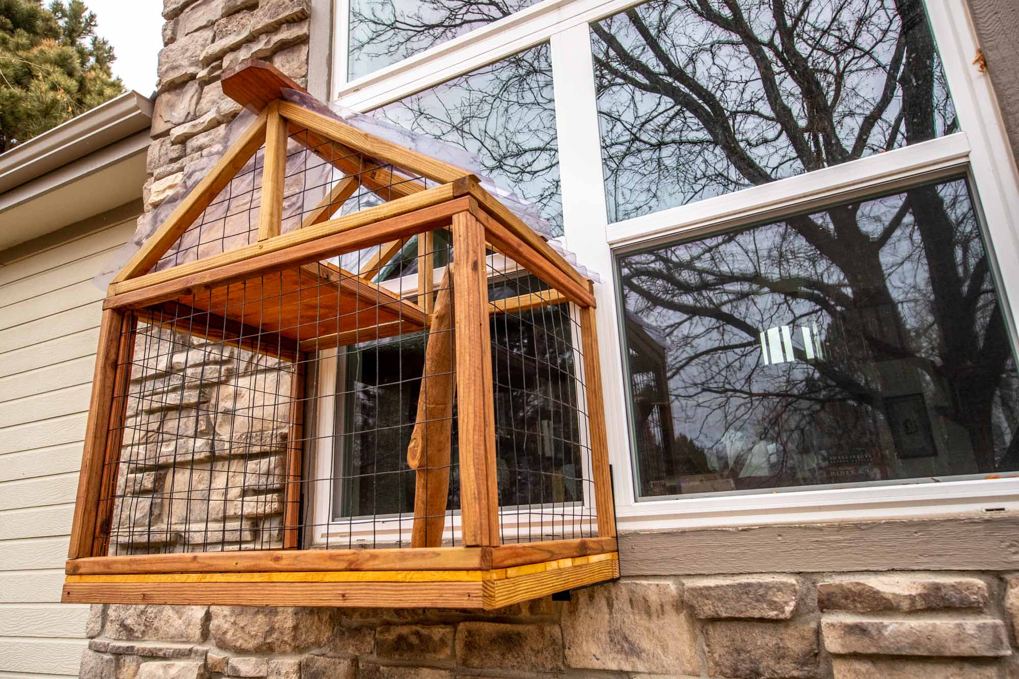Kittens playpen catio