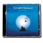 David Gilmour