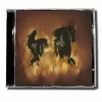 The Besnard Lakes