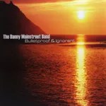 The Danny Mainstreet Band