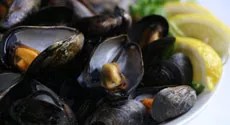Best Mussels