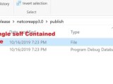 Create Self Contained Single Executable Exe In Net Core