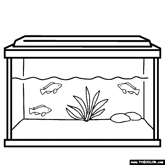 Learn about fishing techniques and practices at howstuffworks. Tropical Fish Tank Coloring Page