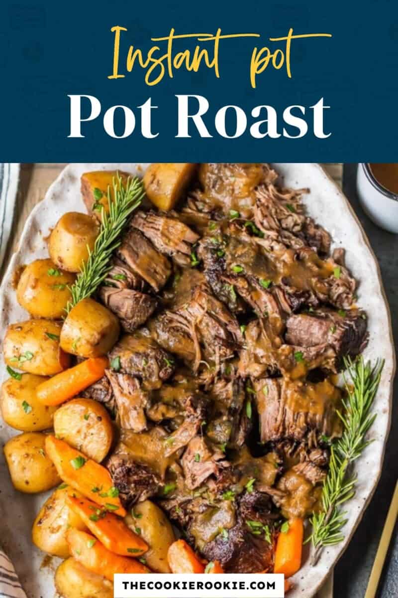 Making Dog Food In Instant Pot