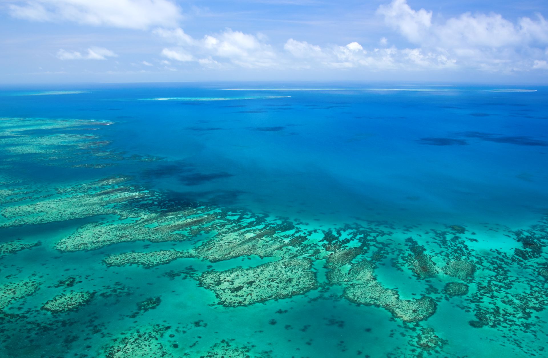 Australia's Great Barrier Reef: 5 Collapses, 5 Rebirths in 30,000 Years - What It Means for Today (2026)