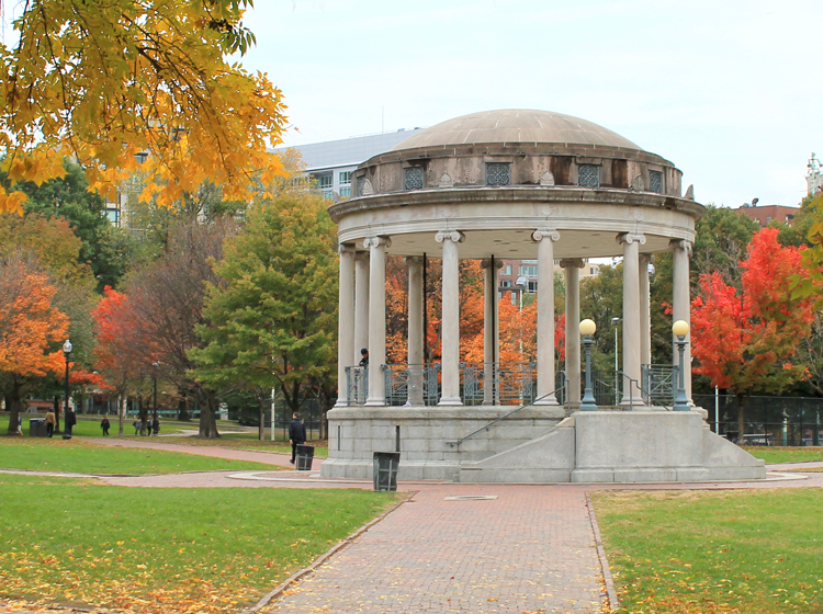 Lobster by the water, cannolis in the north end, and a hearty cup of chowder wherever you please. 8 Top Things To Do In Boston The Craft Patch