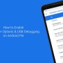 Android 101: Enable Developer Options And USB Debugging On Android Pie